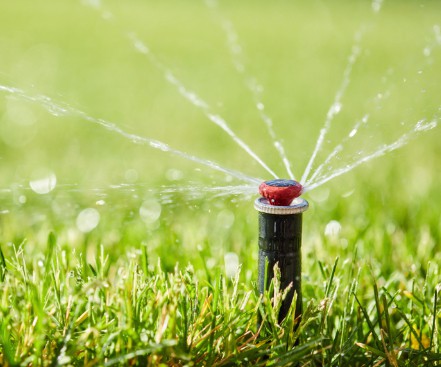 Irrigation system watering turf