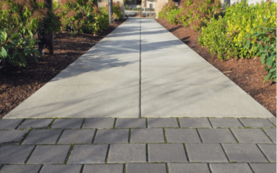 Reinventing Your Commercial Property Landscaping