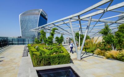 Tips and Tricks For Your Commercial Building Landscape