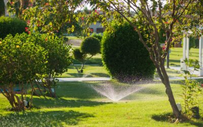 The Benefits of a Park Irrigation System