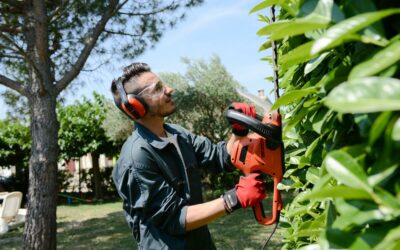 The Role of Landscape Maintenance in Enhancing Property Value