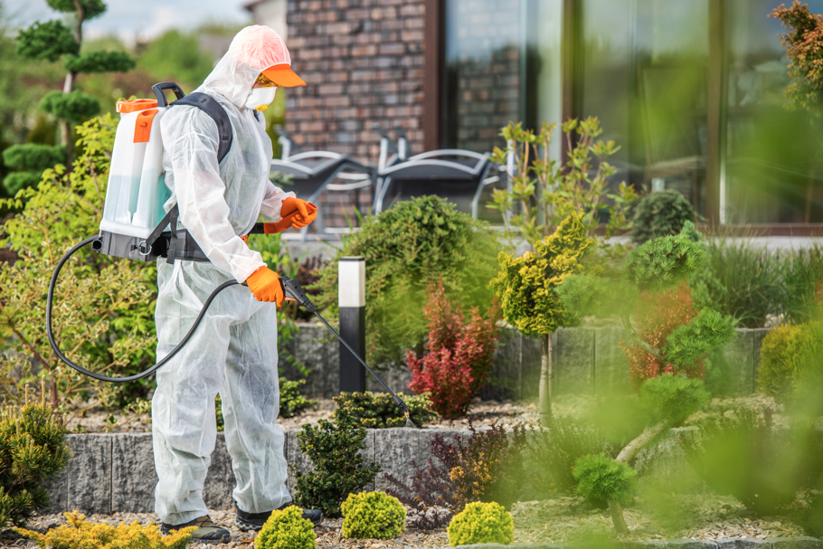 plant health care