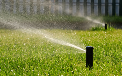 How an Irrigation System Backflow Preventer Protects Commercial Properties