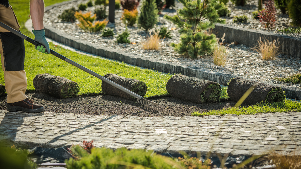 commercial landscaping